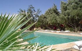 Les Jardins De Skoura